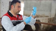 Eskişehir’de şap aşılama kampanyası yüzde 100 başarıyla tamamlandı