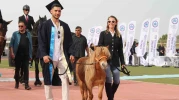 Eskişehir'de kep takan sevimli at, 4 bin 500 öğrenci ile birlikte mezun oldu