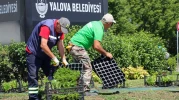 Yalova Belediyesi’nden Kent Estetiğine Renkli Dokunuş
