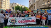Ormanlar Bedelsiz, Zeytinlikler Hedefte: Doğa Katliamı Yasalaşıyor