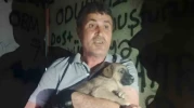 Eskişehir'de trafoda mahsur kalan köpek, hayvanseverler ve OEDAŞ sayesinde kurtarıldı