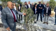 İYİ Parti'den ağaç kesimi tepkisi: “Hamamyolu’na sahip çıkanlar Bademlik’te neredeydi?”