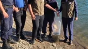 Geleceğe Yatırım: Bayat’ta Göletlere 10 Bin Sazan Bırakıldı