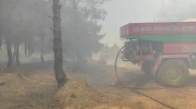 Bilecik’te Alevler Tarladan Ormana Sıçradı