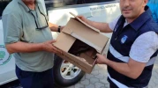 Yaban Hayatına Vefa: Atmacaya İlk Müdahale İtfaiyeden