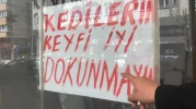 Boş dükkandaki kediler için ilginç not savaşları başladı