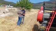 Gölpazarı’nda Hasat Denetimleri Sürüyor: Çiftçilere Yangın Ve Ürün Kaybı Uyarısı