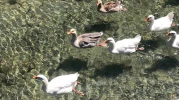 Porsuk’tan Beslenen Kanal, THK Eğitim Merkezine Can Katıyor