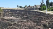Eskişehir'de torpilden çıkan yangında 15 dönümlük arazi kül oldu