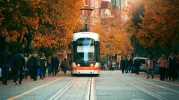 EBB'den 15 Temmuz'a Özel Ulaşım Düzenlemesi