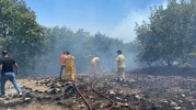 Seyitgazi’deki Orman Yangını Kontrol Altına Alındı