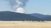 Eskişehir Seyitgazi’de Orman Yangını