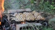 Yaz aylarında doğayı korumak için ateş yakma yasağı getirildi!