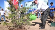 Odunpazarı’nda 8. Ahşap Heykel Festivali Tamamlandı, Umut Ormanı Yeşerdi
