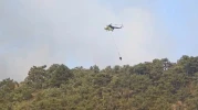 Seyitgazi’de Orman Yangınına Havadan ve Karadan Müdahale Sürüyor