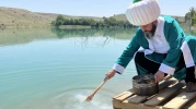 Uluslararası Nasreddin Hoca Kültür ve Sanat Festivali Başladı