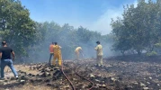 Eskişehir Seyitgazi’de Orman Yangını: 2 Gözaltı