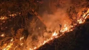 Eskişehir’de Orman Yangınına Gece Müdahale Devam Etti