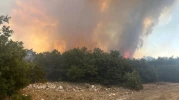 Seyitgazi de orman yangını