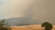 Bilecik’te Orman Yangını Kısmen Kontrol Altına Alındı