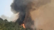 Bilecik’te Alevler Yeniden Yükseldi
