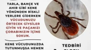 Eskişehir Valiliği'nden kene uyarısı