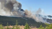 Seyitgazi’de Orman Yangını Kontrol Altına Alınamıyor