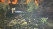 Akut Afyonkarahisar Timinden Temmuz Ayında Yangınlarla Mücadele Görevi