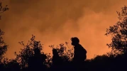 Orman Yangınına AKUT Müdahalesi: Vatandaşlar ve Hayvanlar Güvende