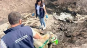 Yangın Sona Erdi, Acı Bilanço Ortaya Çıktı