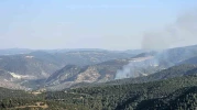 Bilecik Bekdemir Köyü’nde Çıkan Orman Yangını Kontrol Altına Alındı