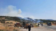 Bilecik’te Orman Yangını Korkuttu: Yeni Alevler Saldırıda!