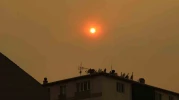Bilecik’teki Büyük Yangın, Eskişehir Gökyüzünü Dumanla Kararttı!