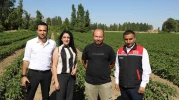 Eskişehir'de Hümik Asit Uygulamalarıyla Tarımda Verimlilik Artışı Sağlandı