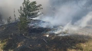 Gediz’de Alevler Mahalleliye Korku Dolu Anlar Yaşattı