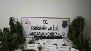Kenevir bitkisi ekimi yapılan ikamete operasyon düzenledi