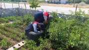 Küçük Ölçekli Üreticilere Destek Sağlayan Yeni Projeler Hayata Geçiyor!