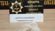 Kütahya'da Bonzai Hammaddesiyle Yakalanan Şüpheli, Tutuklandı!