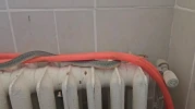 Kütahya’da Restoran Tuvaletinde Yılan Paniği