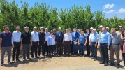 Mihalıççık'da Zirai Donun Etkileri İncelendi