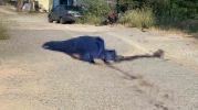 Eskişehir'de motosiklet kazası: Sürücü hayatını kaybetti