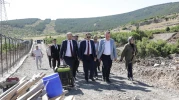 Vali Işın, Sokak Hayvanları İçin Planlanan Doğal Yaşam Alanını İnceledi