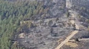 Köy Yakınındaki Orman Yangını 12 Saatte Söndürüldü, Hasar Tespiti Başladı