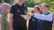Gölpazarı ve Osmaneli’nde Konteyner Alanları Hızla Kuruluyor
