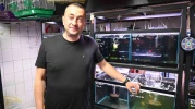 Yazın evcil hayvan bakımı: Kuş ve balıklara sıcak havalarda özel öneriler