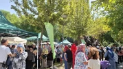 AK Parti’den dev piknik buluşması