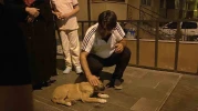 Yavru köpeğe çarpıp kaçtı, mahalleli seferber oldu