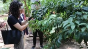 Stajyer öğrencilere tıbbi ve aromatik bitkiler eğitimi