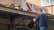 Esnaf, Kedileri Beslemek İçin Her Gün Çatıya Tırmanıyor