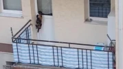 Eskişehir’de Balkona Mahkum Edildiği İddia Edilen Kedi İçin Polis Harekete Geçti